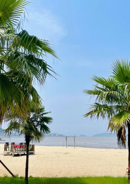 50cbe7ca45301c8290d3264c3fb78c4b-sz_464117-1