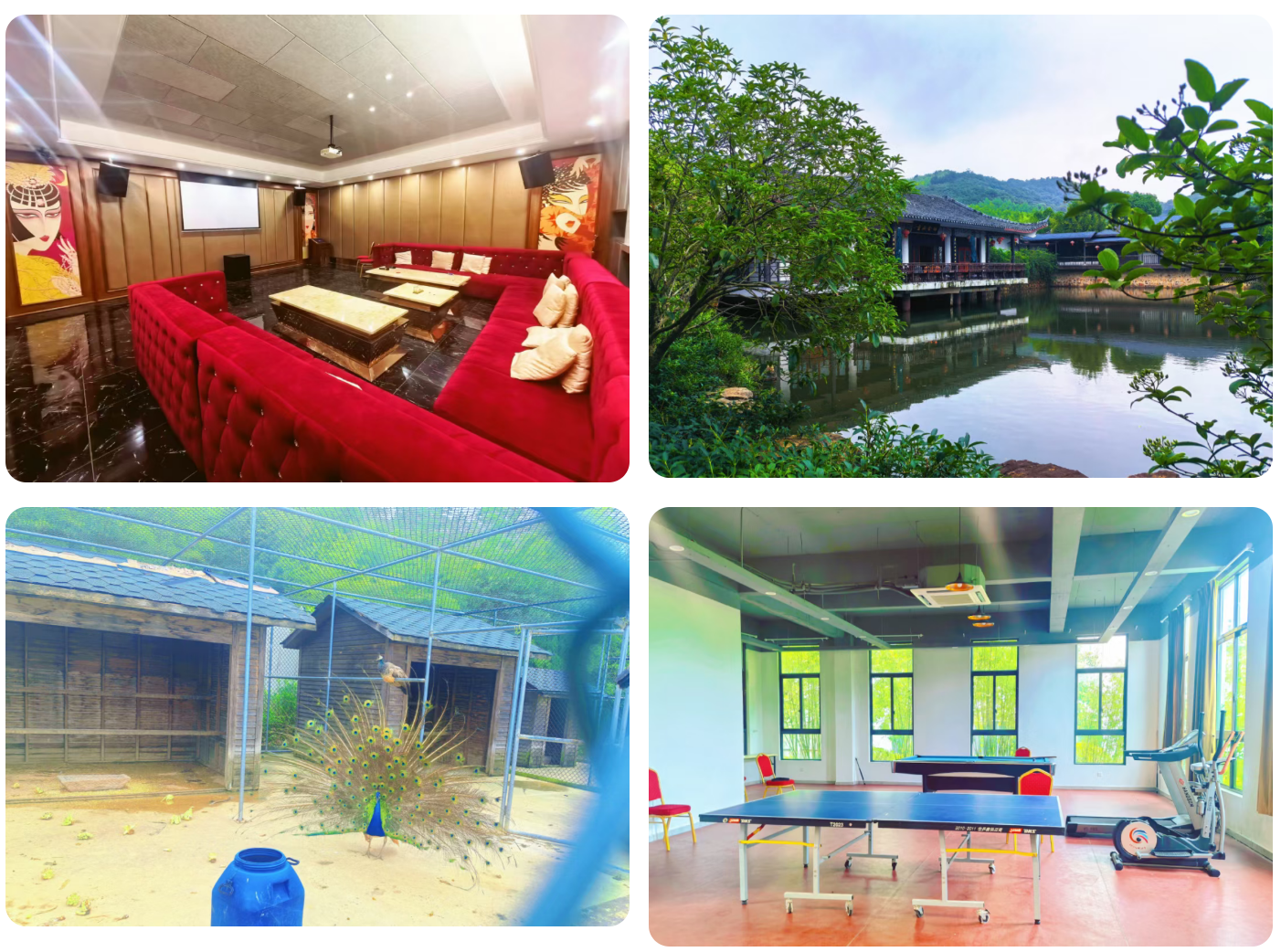 512723060c2df1d5ae6b062e7a55768e