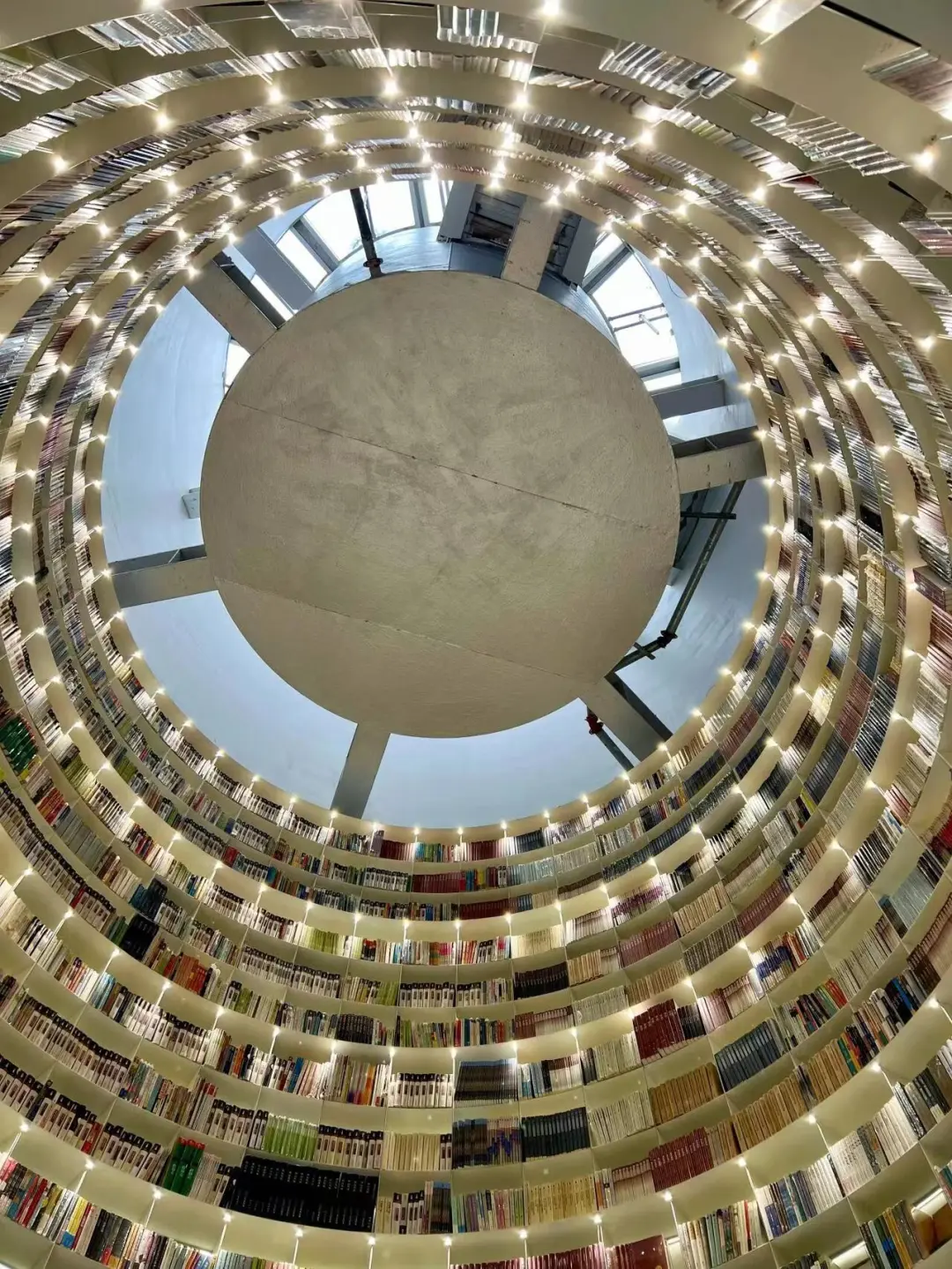 513253a142c375e3e4c47c04dd618a79-sz_427499 513253a142c375e3e4c47c04dd618a79-sz_427499