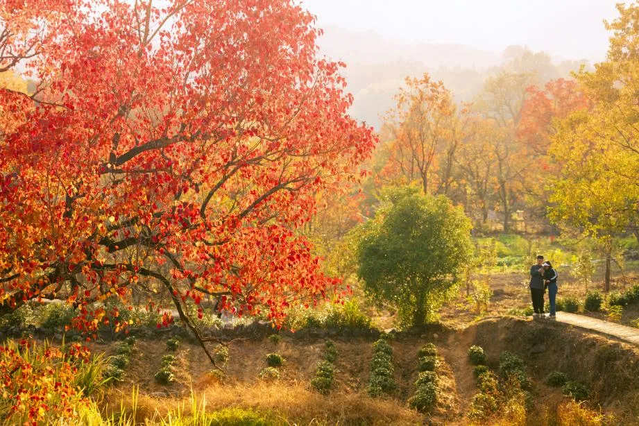 513841791af40c96b4963f5d23cb335b-sz_1186812