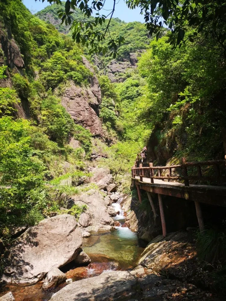 514d20f0065fe63a7fc0fa92d6409eea-sz_359822