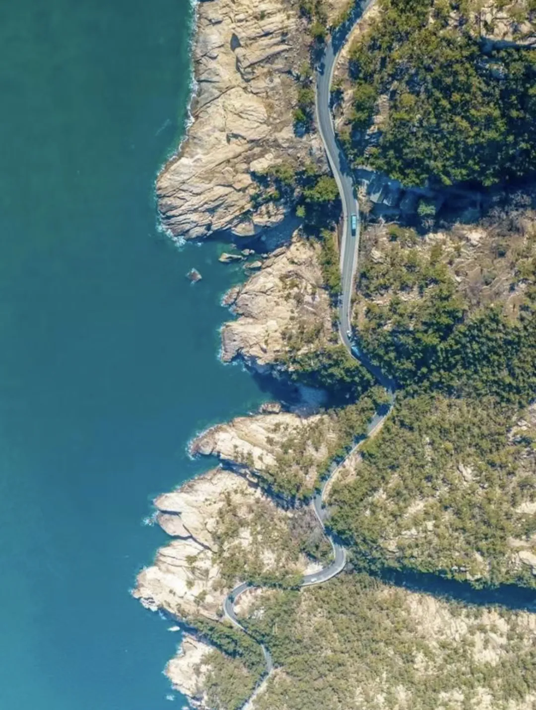 5160397238fbaf4e8a07be160e2f934a-sz_1660312