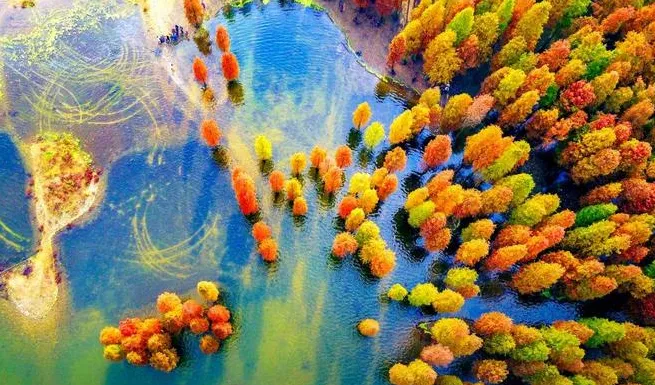 5162cdb946226d2a2f517a67321c1121-sz_648460 5162cdb946226d2a2f517a67321c1121-sz_648460