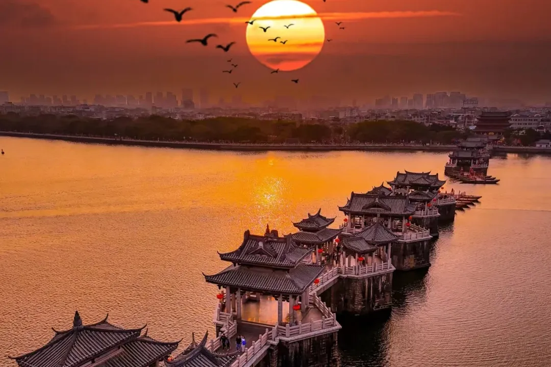 51b56ce56a60ac3e5f90031643657eb3-sz_2449878-1