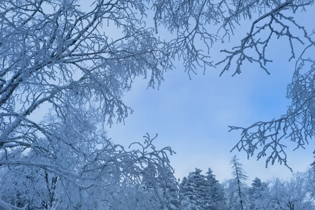 51dea9099461385392831b4ac1cfcbc1-sz_1964660 51dea9099461385392831b4ac1cfcbc1-sz_1964660