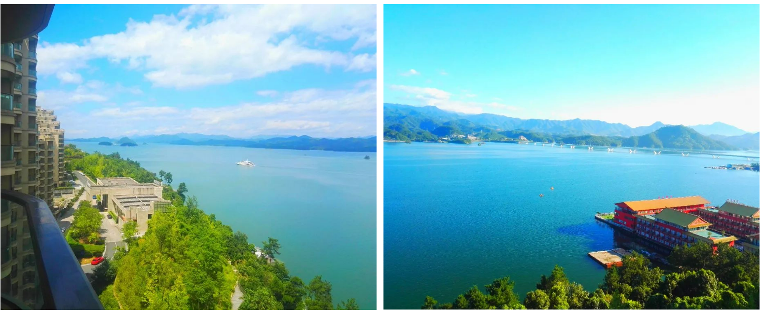 51e6c8b024aa600fbf2f29d0a4c742a3