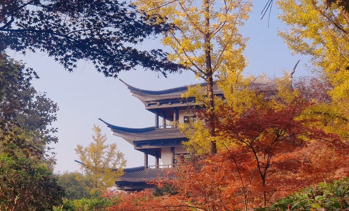 52318d3554e191ece8015bfa53e06816-sz_1125559 52318d3554e191ece8015bfa53e06816-sz_1125559