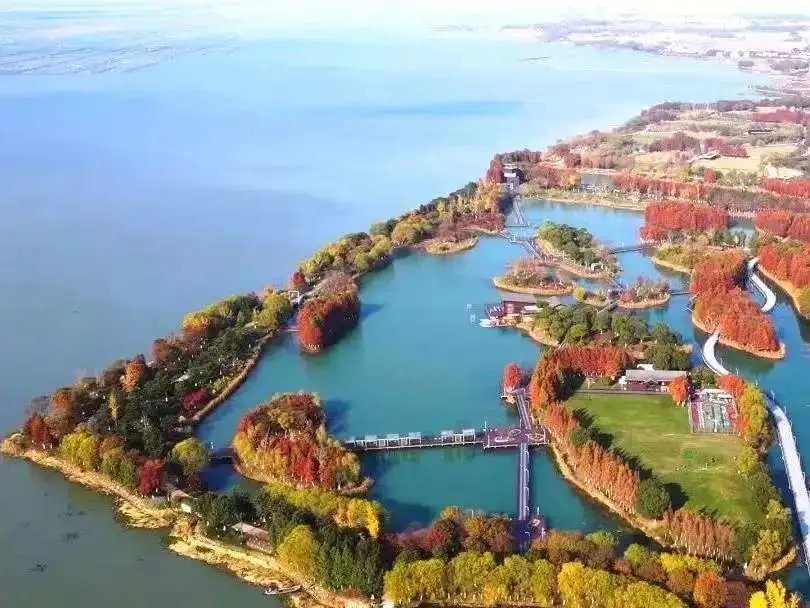 523b381e9d4a5b5fc42a3b5b39ba52cf-sz_68763-1 523b381e9d4a5b5fc42a3b5b39ba52cf-sz_68763-1