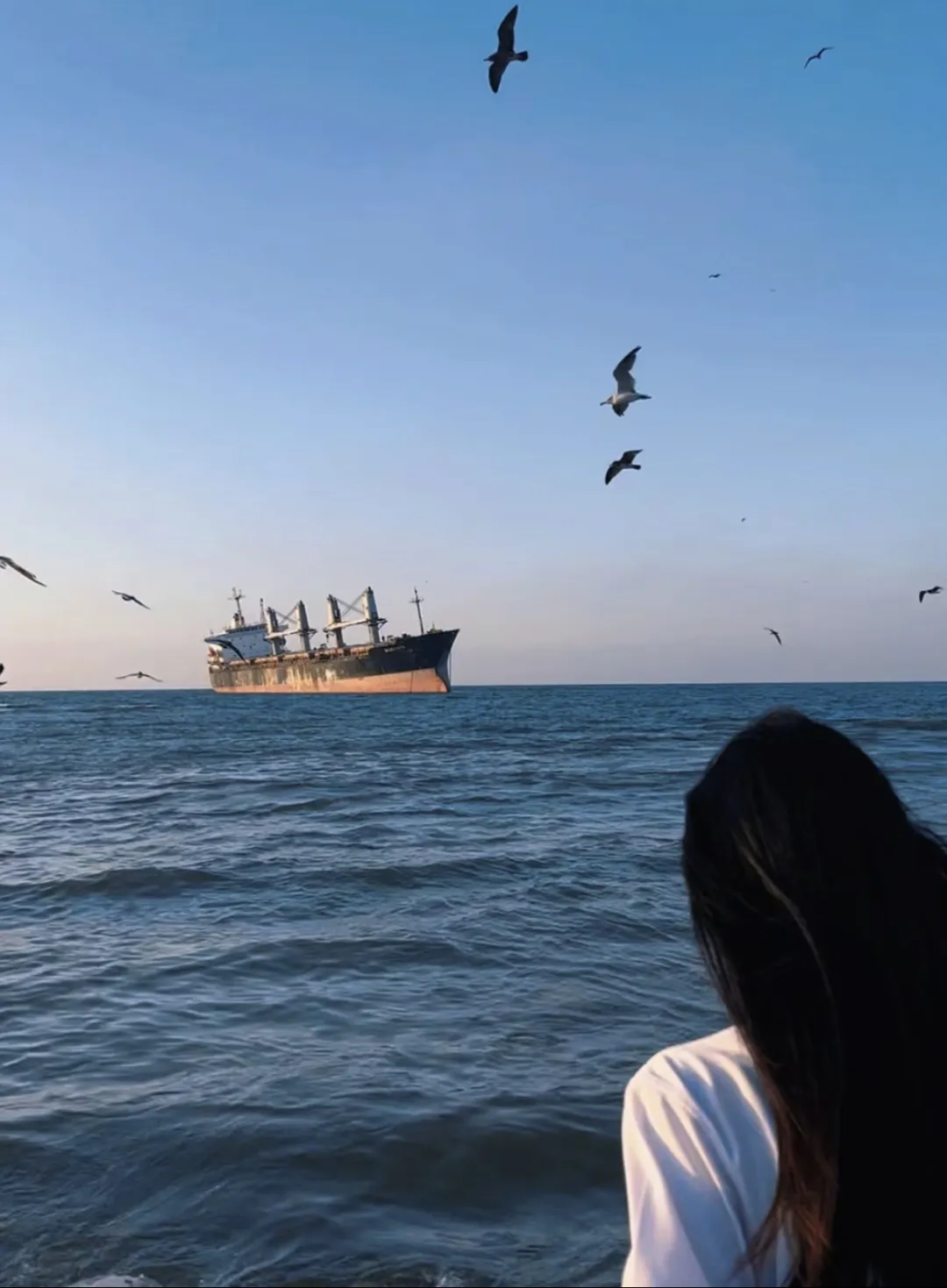 527924c27e2ae92b895f4fb8719e9904-sz_2494445