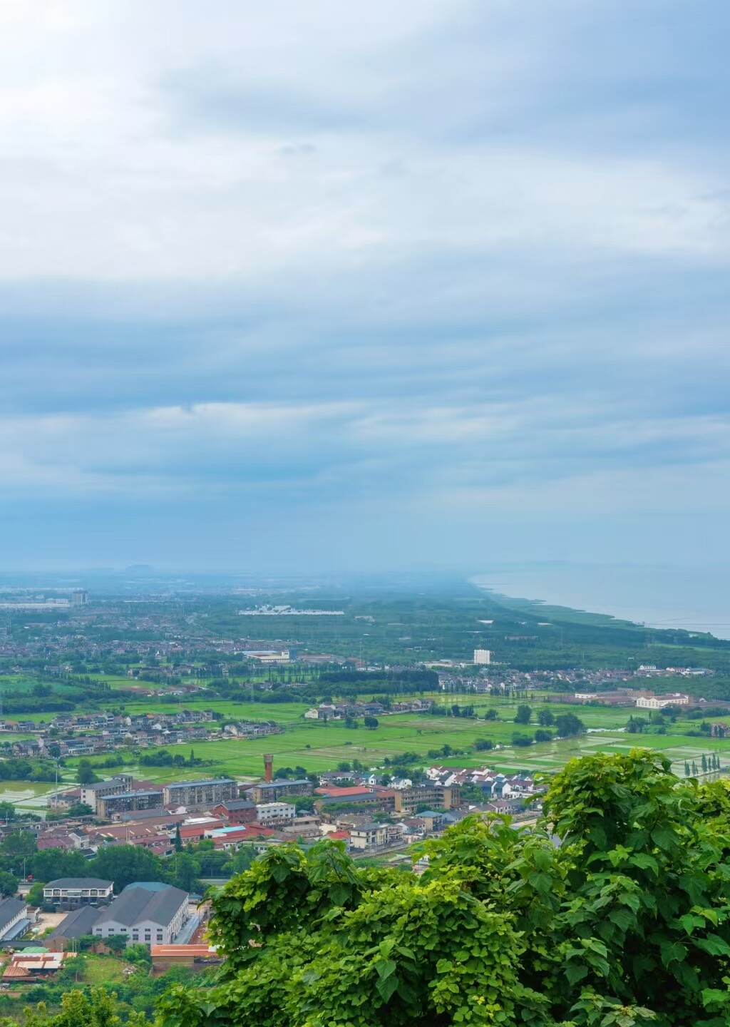 52a37a996d2155191f15503c359ce0d4-sz_687738 52a37a996d2155191f15503c359ce0d4-sz_687738