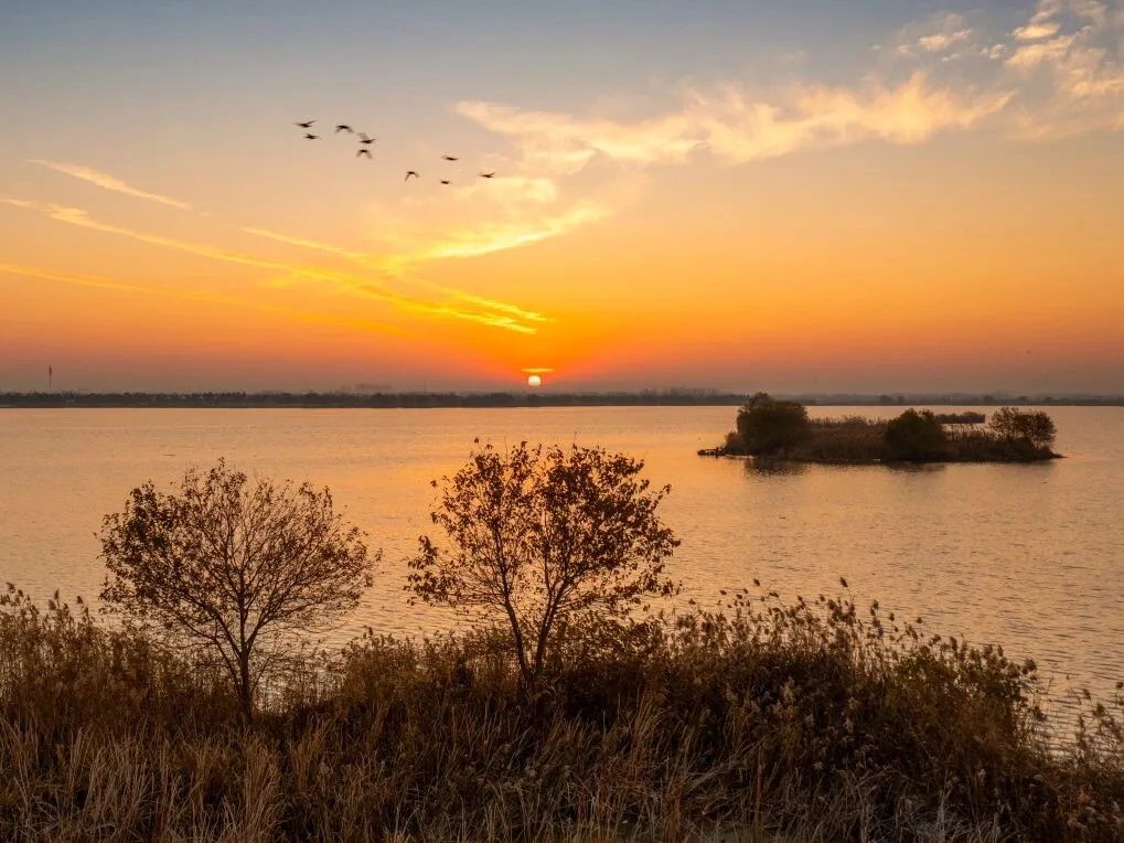 52b75a700bcb3043eb537f27d0af7ce0-sz_140043-3