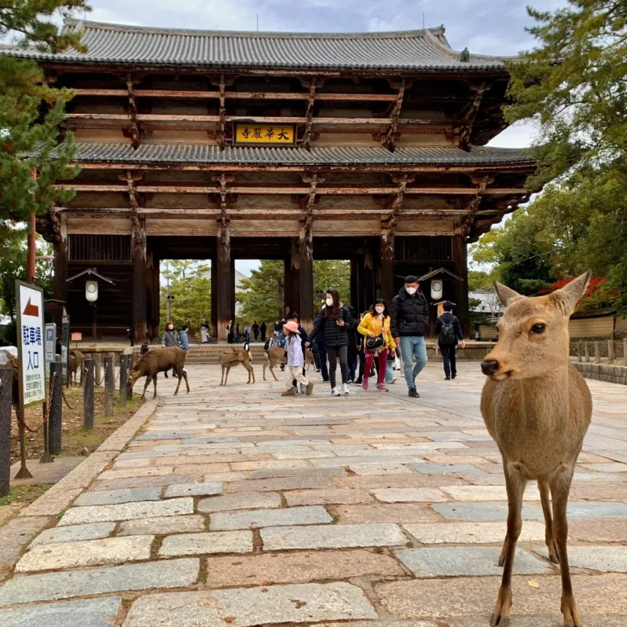 52bac24c6521fc4ef0a695962ae19129-sz_557490 52bac24c6521fc4ef0a695962ae19129-sz_557490