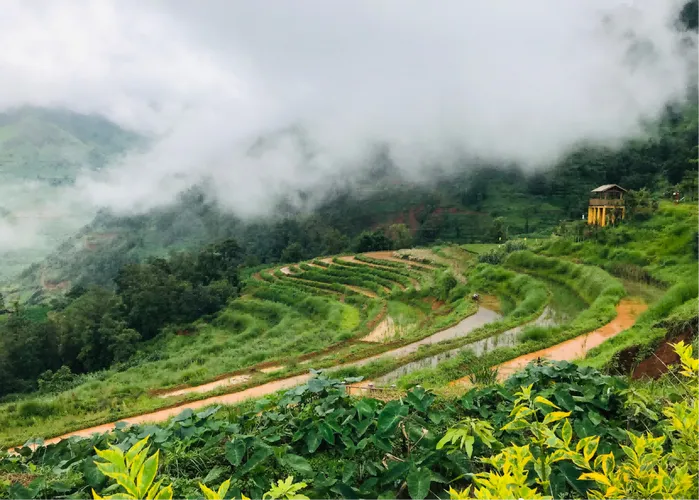 5383f03353a7ac3eab08c053a330a51d-sz_627012