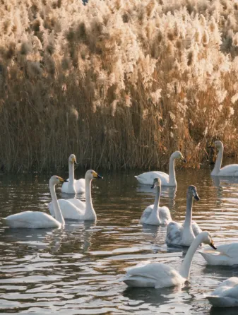 5398073b233200366cd9eabfd22a3c6d-sz_339770 5398073b233200366cd9eabfd22a3c6d-sz_339770