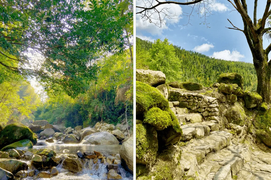 53be4bcd58a22166914ffe28a2bdd949-sz_569478