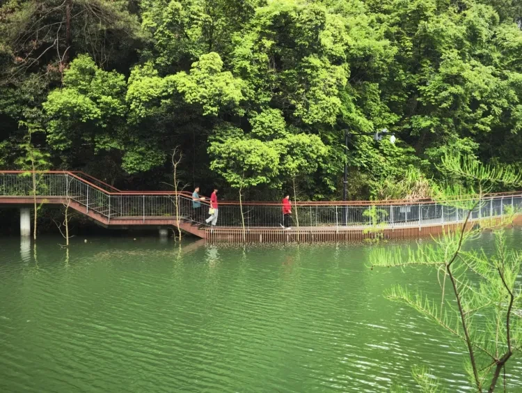 541afdba54ccc3674bd9ca0c11a29dd5-sz_3795075