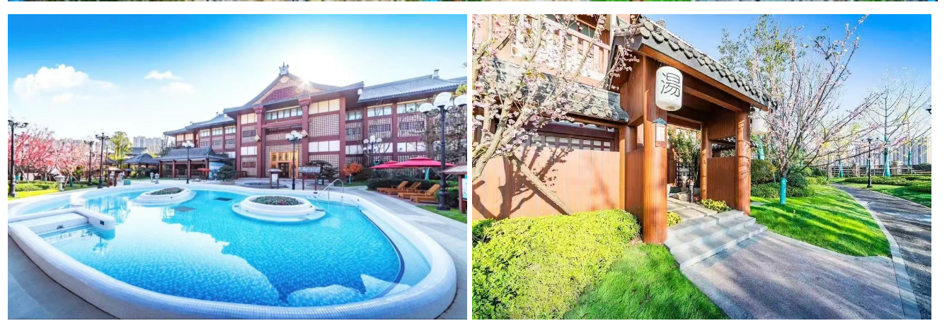 541d34b9c9dd4381513fa2813b7ef56a