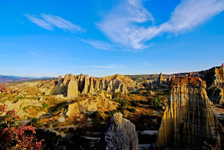 5485b28f6d6860b0cd3fd64d0cb64735-sz_960187