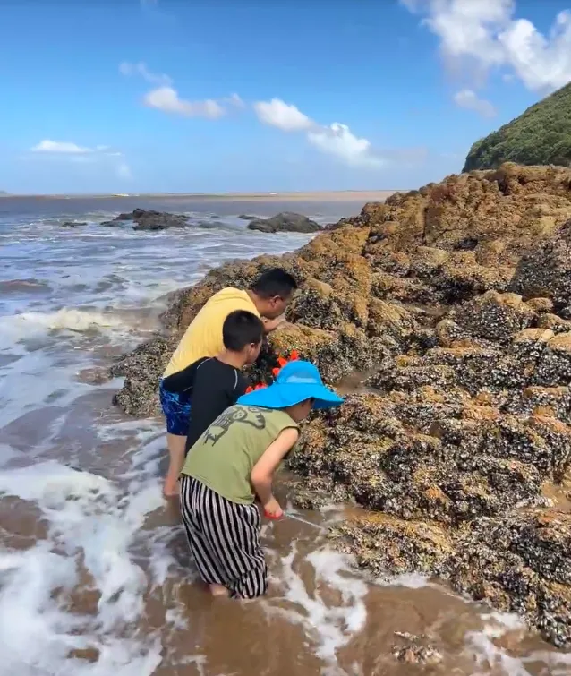 5491ff61b0ed6a0b7e93729e85571d0a-sz_887381-1