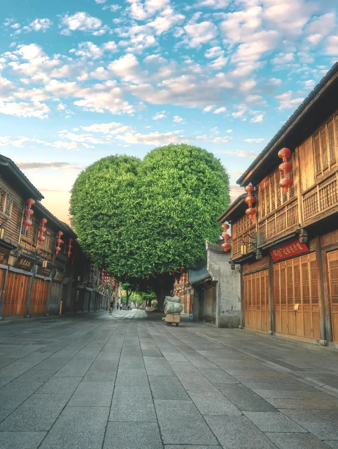 54924a82d0fa6eb1d16a025bb85d7ebc-sz_489245