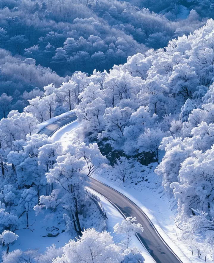 54afd1b5678553f6fe28cd2280552386-sz_1327832-1