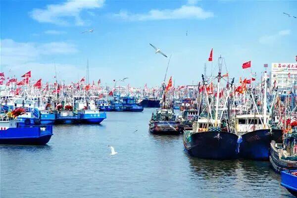 54ba471a238eb1efd75f0dd730a8533f-sz_47219 54ba471a238eb1efd75f0dd730a8533f-sz_47219