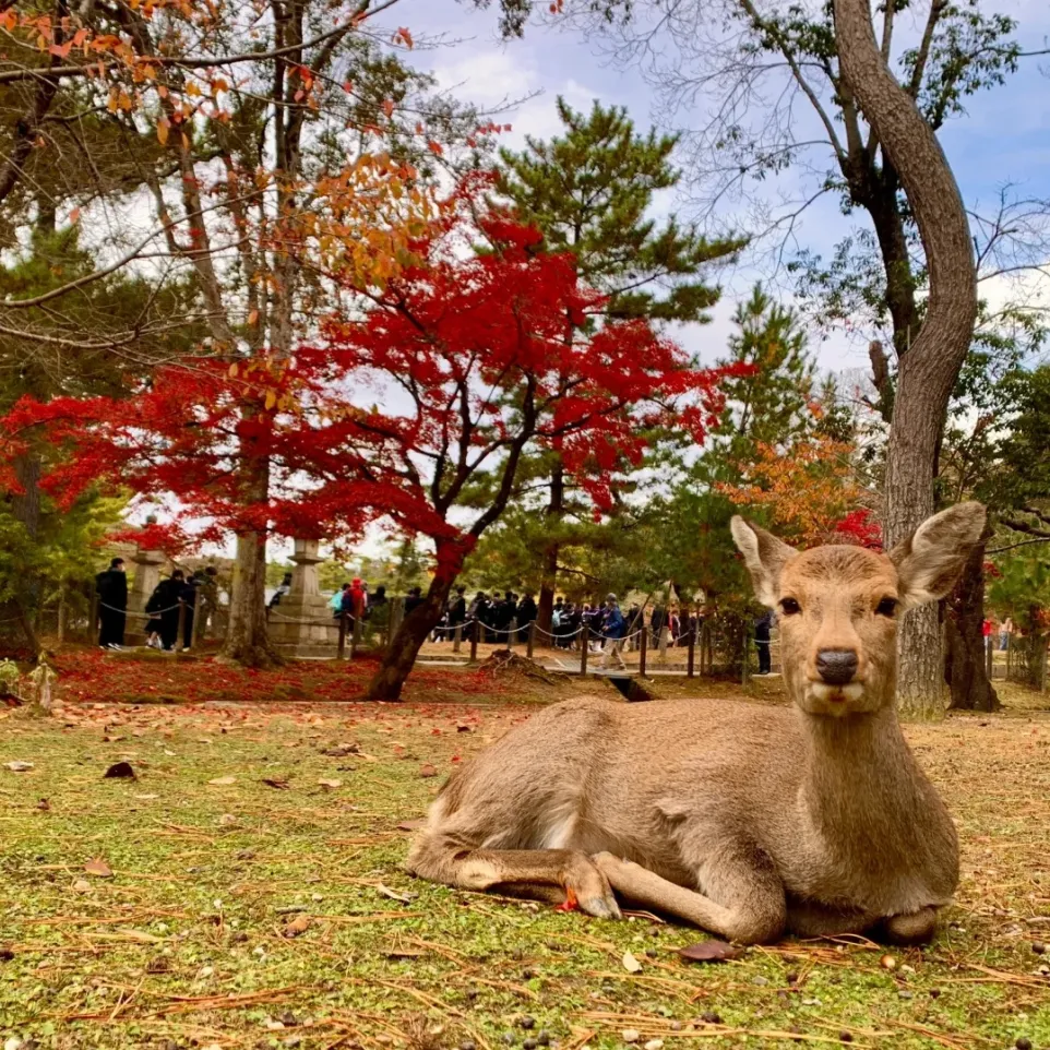 54ec04461349748b2e95d97cd21e7051-sz_658544 54ec04461349748b2e95d97cd21e7051-sz_658544