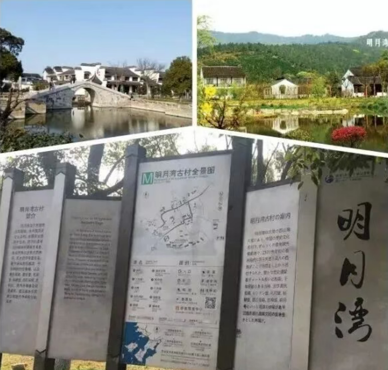 551fae6650d579e98b597483348fb9a2 551fae6650d579e98b597483348fb9a2