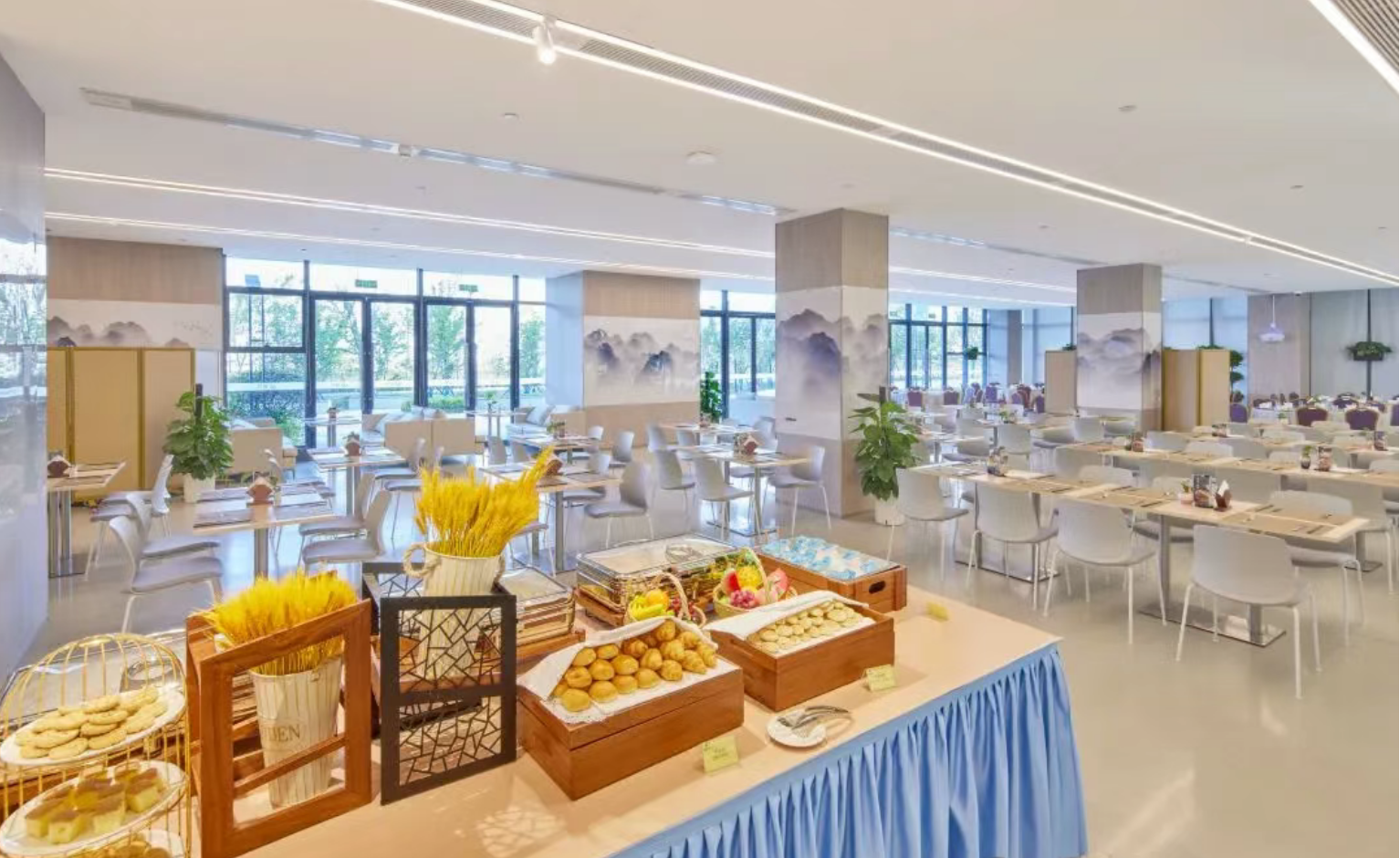 55c6921c6a08adba093351952c0546c8 55c6921c6a08adba093351952c0546c8