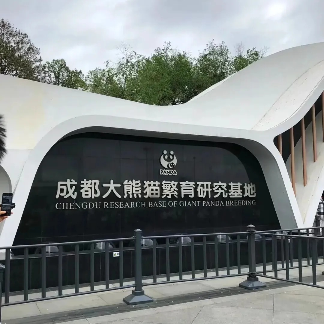 5600c23d16d9c8fe816573b79219e05f-sz_1338816