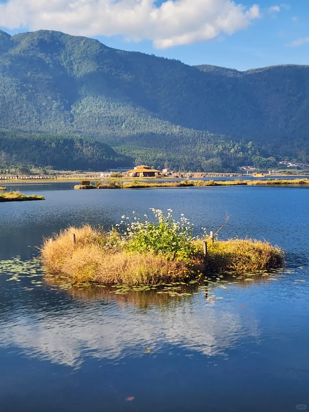 5618d6af71eac057145a9b8ac0e8dc80-sz_2661743