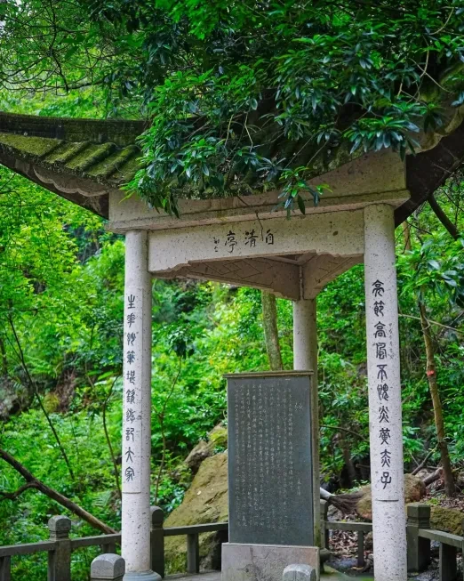 5623ea86a38d25c199a02547eb714900-sz_936688