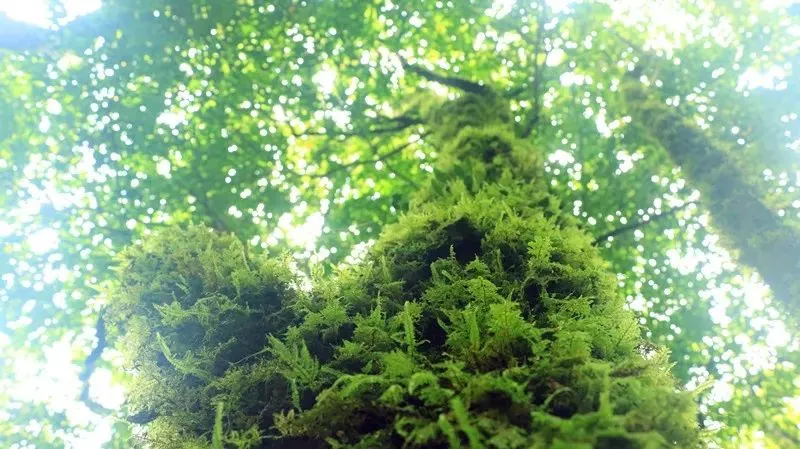 56319a0543d97874b2a555f851d0a06c-sz_90153