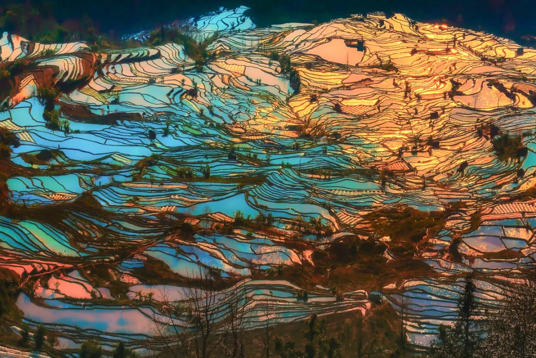 56811e466ac12eb18202090296eebc96-sz_630383 56811e466ac12eb18202090296eebc96-sz_630383