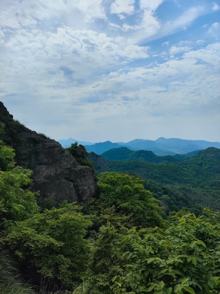 56cabb463e05570062f4fd450ce09763-sz_2678433