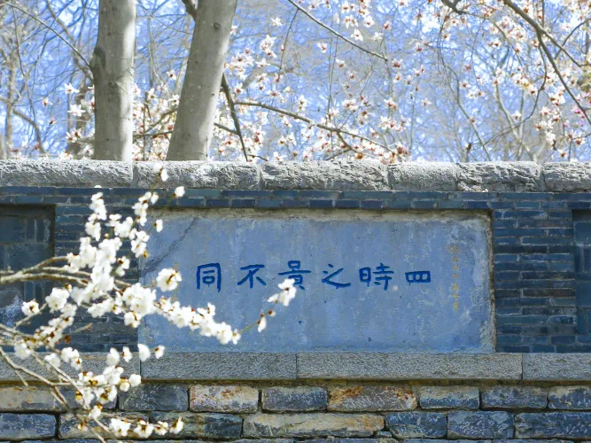 56fd810b664191eaa0d794a03be0d708-sz_781608