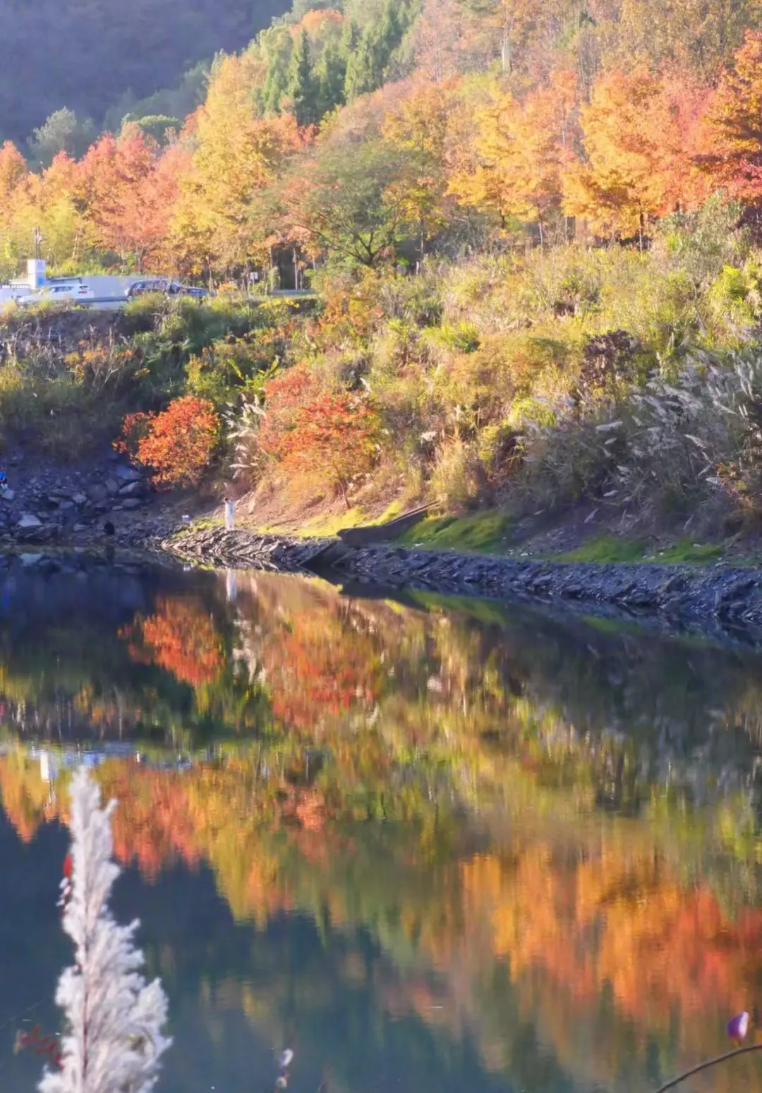 5713d9559e70a7431877e9e358f2fb58-sz_401244