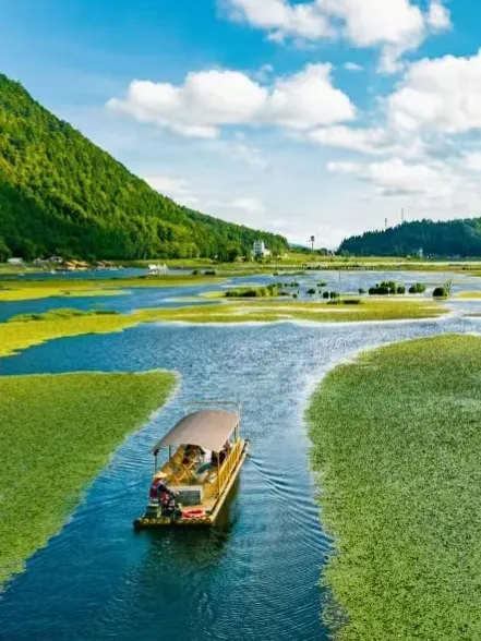 57456a162b637c86014e3cacb9f58bfc-sz_204707