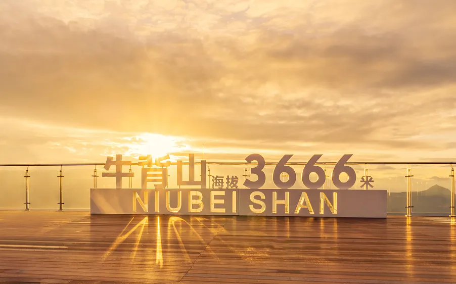 5747a6ab3831a7bd4a206f5e1046e541-sz_707745