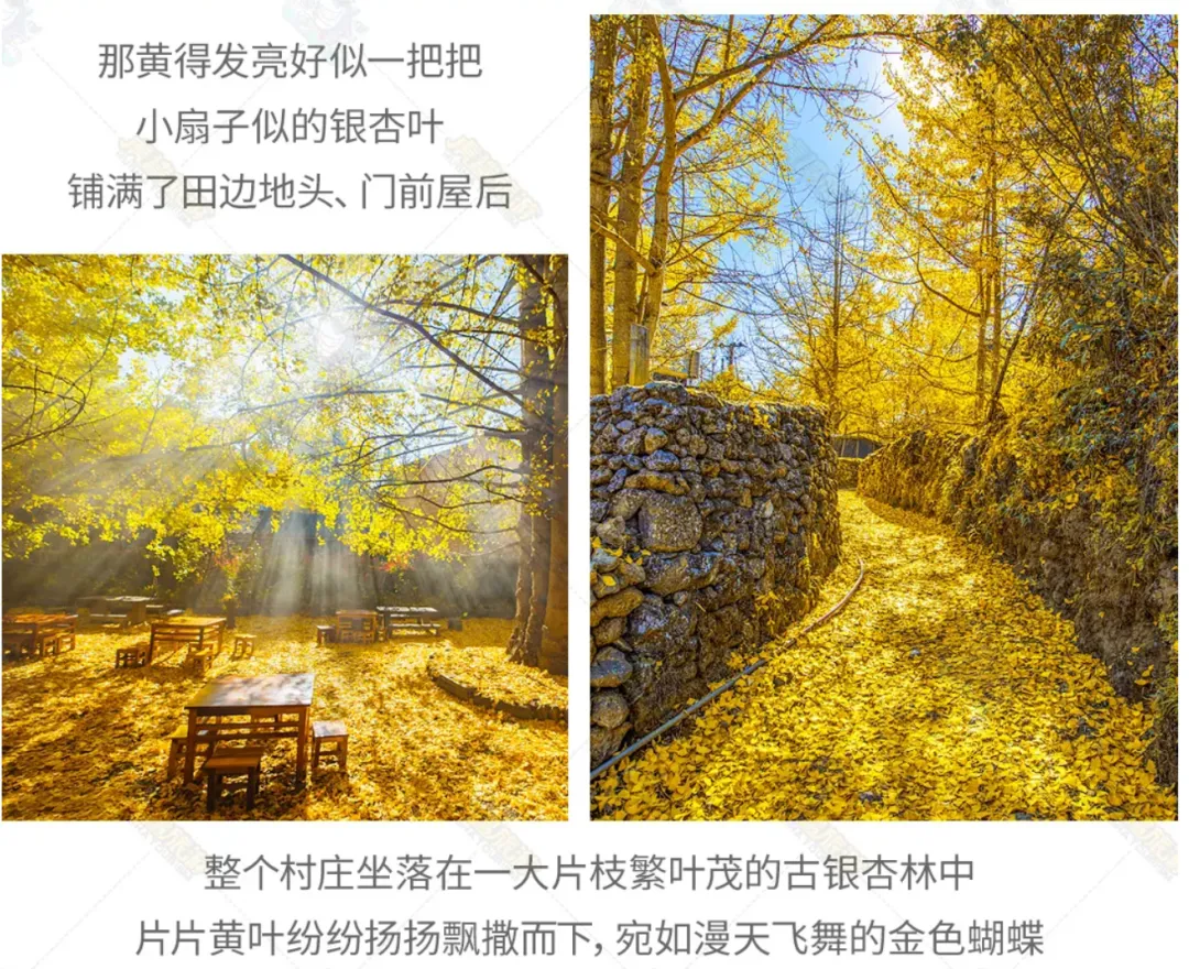 574efcc41194abd987cbb3d1771416a0-sz_3566181