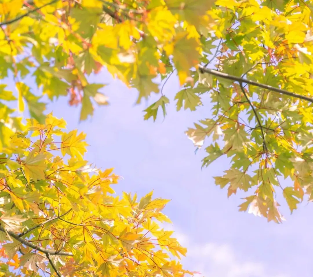 575ed1886b7b33ebfacf49a81a0049f8-sz_2118872 575ed1886b7b33ebfacf49a81a0049f8-sz_2118872