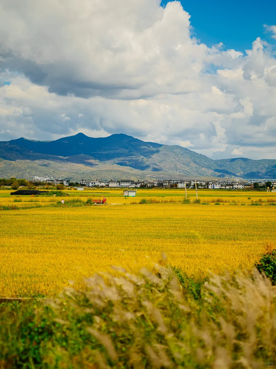 57a1bf9435112f5e666d4a61fa6a8774-sz_2014249