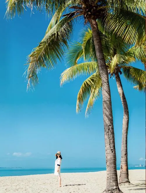 57c34a61975a41bf74df3d029ea1d814-sz_611719