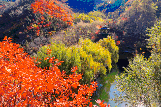 583f60ef920c03c6093544af0760d396-sz_799616 583f60ef920c03c6093544af0760d396-sz_799616