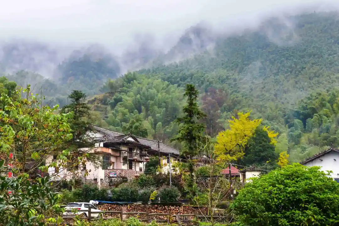 59a2e2cab3876a19faaa7d8ea884bb42-sz_908014-1