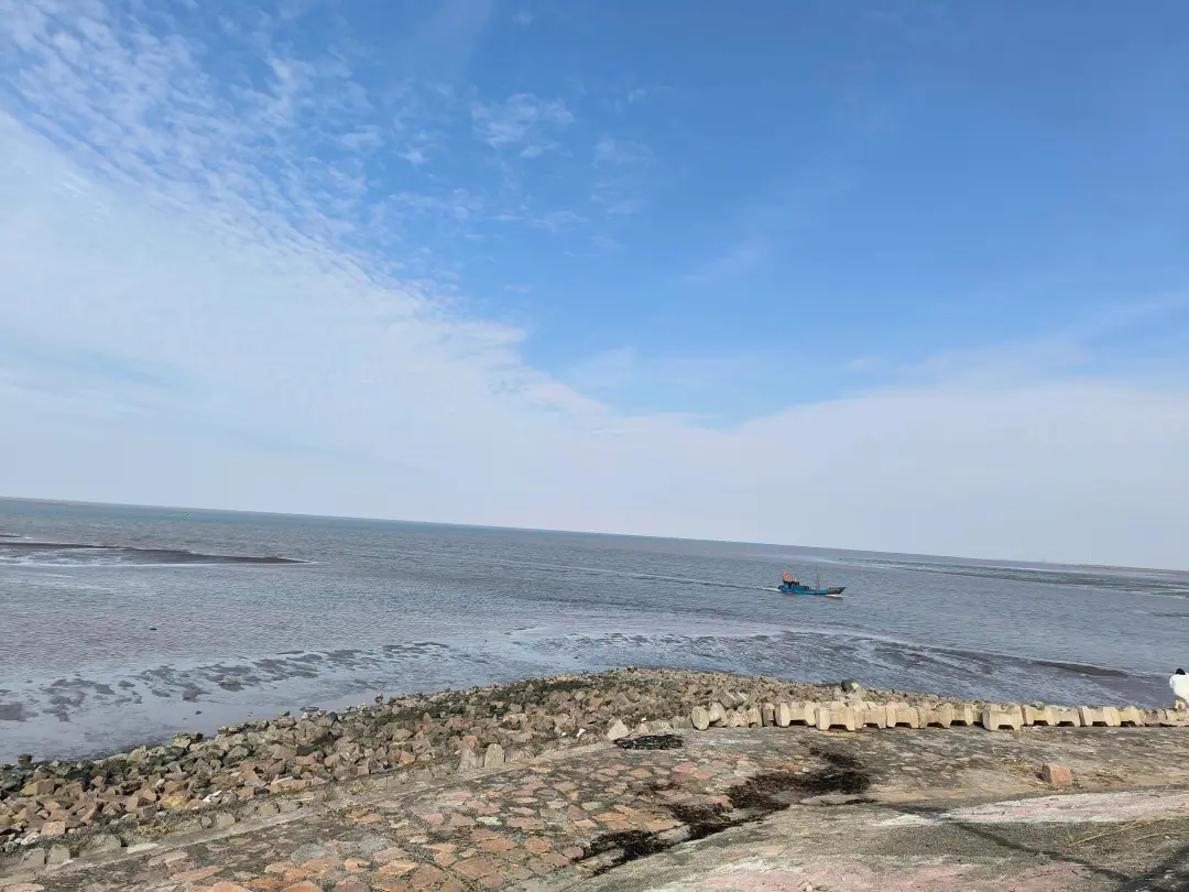 59a81965cfd78451dee332a8007fa8c0-sz_620575 59a81965cfd78451dee332a8007fa8c0-sz_620575