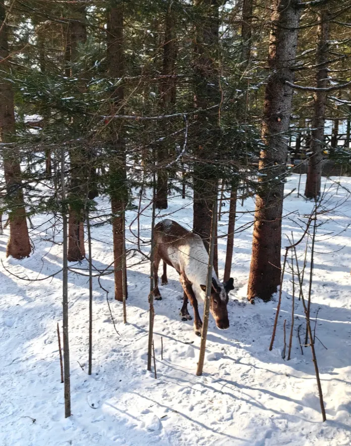 59ad2ae645874cf3ee5d1eb020f73b25-sz_1401214