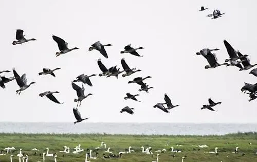 59ca59bc700ced57283e8d5374f48d49-sz_24040