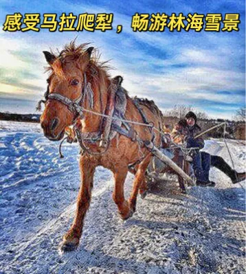 59e66fd94595f601ce2b3640249c675b-sz_411198 59e66fd94595f601ce2b3640249c675b-sz_411198