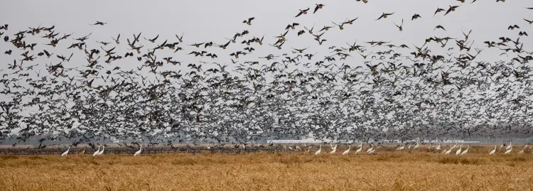 59e6b4f6797558c6e95097f5c69cf6aa-sz_5715807